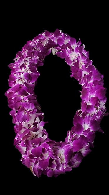 (Pre-Order) Double Orchid Lei